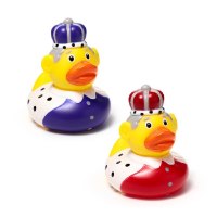 ברווז מלך King Duck - מיקס צבעים