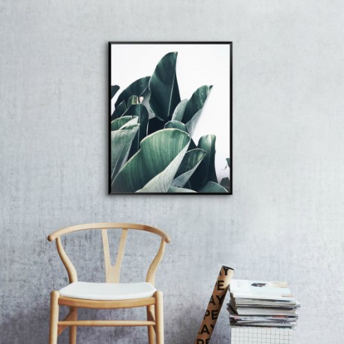 תמונת קנבס הדפס עלי צמח טרופי "Smoky Tropical"|בודדת או לשילוב בקיר גלריה | תמונות לבית ולמשרד