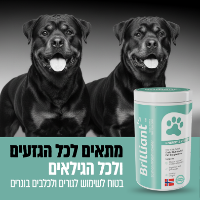 אבקת חלבון סלמון חדשנית תוסף יעיל לבריאות ועיכול המעיים "בריליאנט"