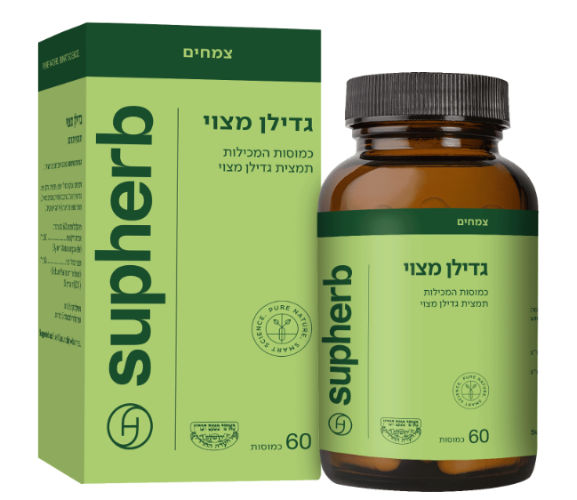 גדילן מצוי 60 כמוסות בד"ץ -סופהרב