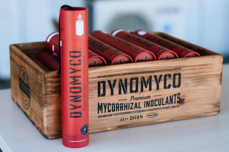 מיקוריזה 200 גרם Mycorrhiza DYNOMYCO
