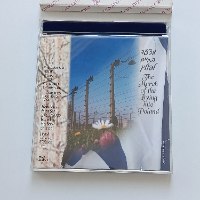 מצעד החיים לפולין, סט מטבעות חנוכה-התשס"ג, שנת 2002, החברה הממשלתית למדליות-