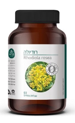 טבליות רודיולה | Rhodiola rosea