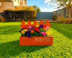 אדנית חלומות