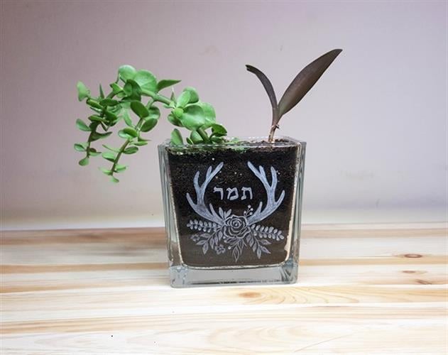 עציץ  ריבוע זכוכית - שם אחד ועיטור פרחים וקרני צבי