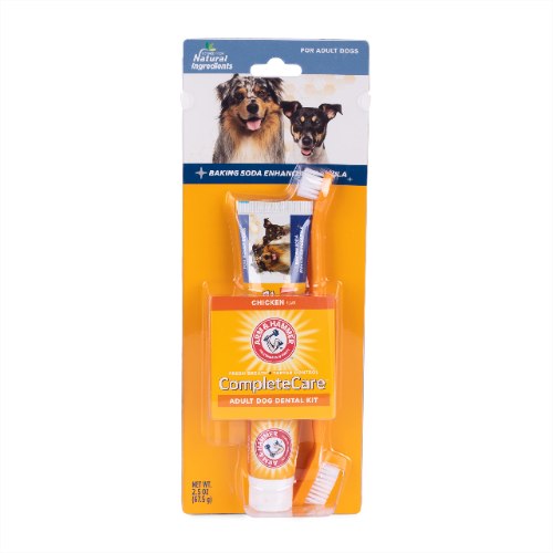 Arm & Hammer Complete Care Dog Dental Kit |  Chicken Flavored Dog Toothpaste