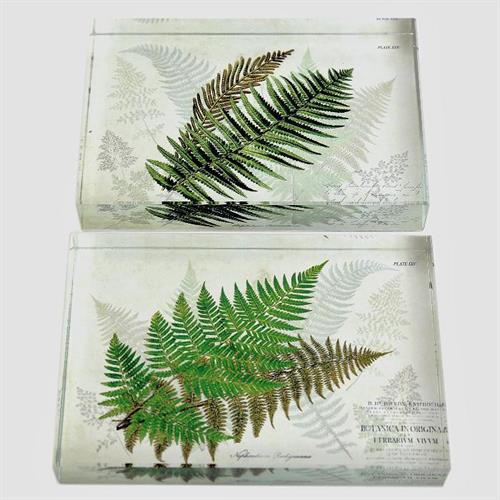 משקולת ניירות בלוק זכוכית עלי שרך Vintage Fern - מיקס דוגמאות
