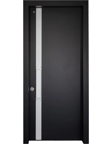 דגם ריי