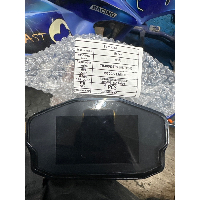 מסך ספידומטר מקורי לטרקטורון טומרייד 400 - TOMRIDE TR400 40262