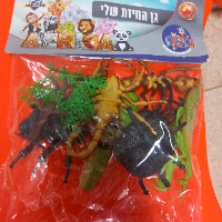 גן החיות שלי  חרקים