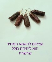 שרשרת כסף עם תליון אבן רובי אודם תכשיטים ירושלים חנות אבני חן