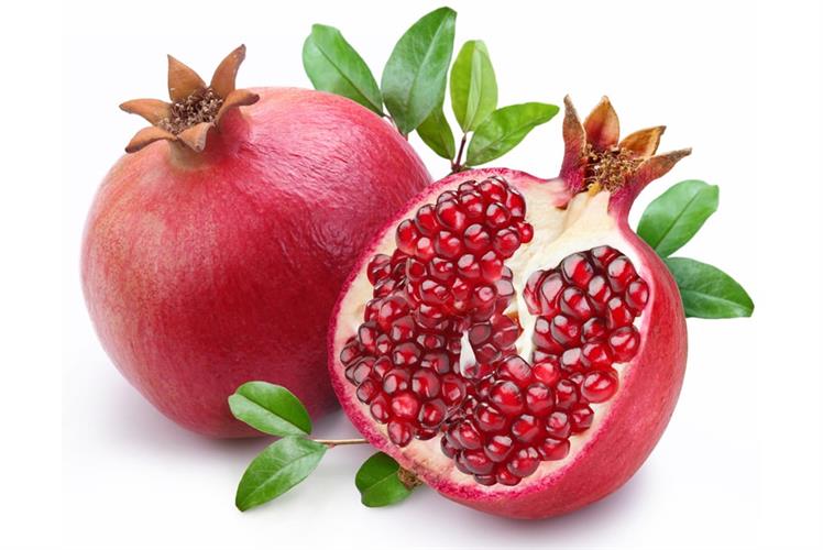 רימונים