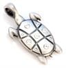 שקוף - Turtle