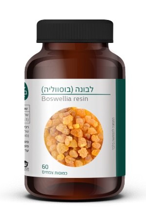 לבונה (בוסווליה) - Boswellia resin