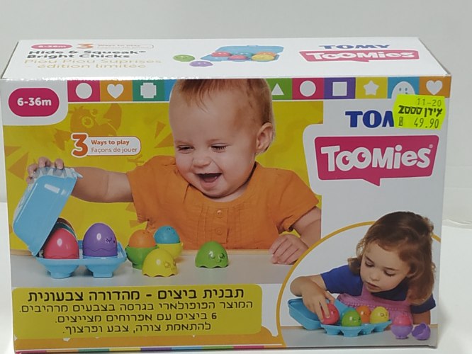 תבנית ביצים צבעונית