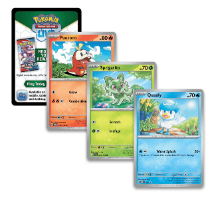 Pokemon TCG: Scarlet & Violet Quaxly Paldea Collection Box Set קלפי פוקימון מקוריים מארז קוואקסלי