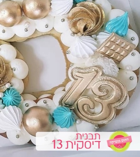 דיסקית 13