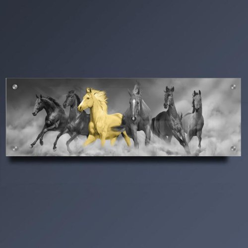 "The One" - תמונה מעוצבת של סוסים מודפס על זכוכית מחוסמת פנורמית לסלון, לפינת אוכל, למשרד או ללובי