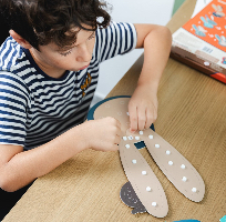 חיות קיר ארנב