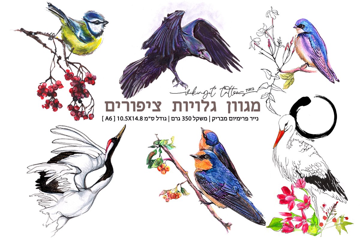 גלויות ציפורים מאויירות בדיו ועפרונות אקוורל מאת ויקינגית