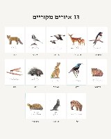 לוח שנה גלילי 26-27
