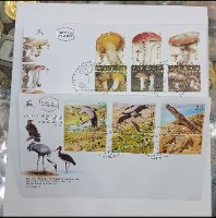 אוסף 13 מעטפות יום ראשון