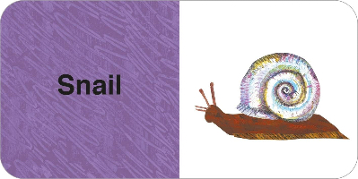 קופסת ספרים הזחל הרעב