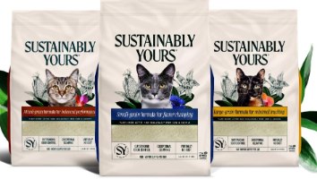 חול מתגבש לחתולים גרגירים קטנים 5.9 ק''ג Sustainably Yours – שקית החול המרכזית עם חתול אפור ותווית כחולה