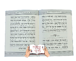 תהילים קורדרוי כתום אפרסק
