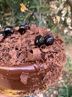 עוגת מוס היער השחור