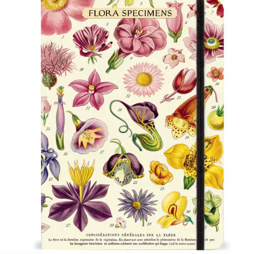 מחברת פרפרים
