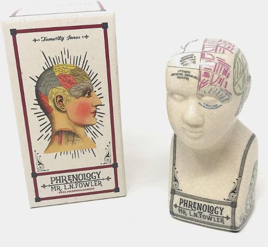 פסל פסיכולוג וינטג' Phrenology  - מארז לא מושלם