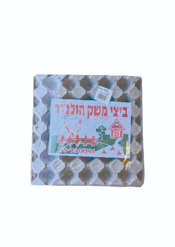 ביצים L הולנדר (תבנית של 30)