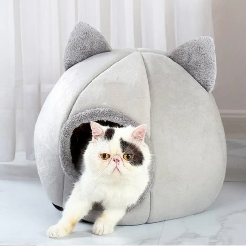 מיטת איגלו פרוותית לחתול