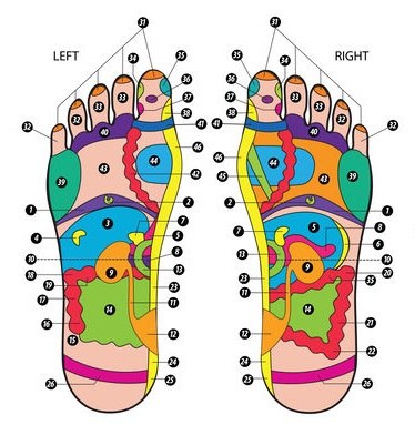 קורס אבחון רפלקסולוגי בכפות הרגליים
