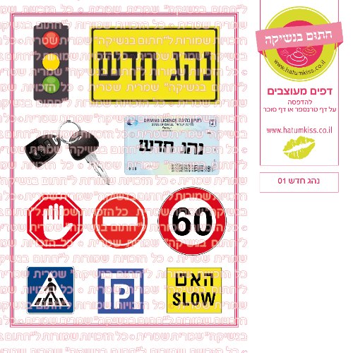 נהג חדש 01