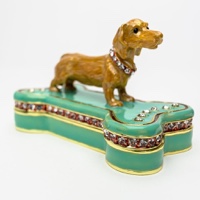 Dachshund Dog Sitting on Bone