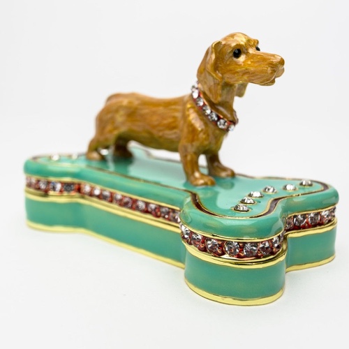 Dachshund Dog Sitting on Bone