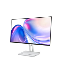 Lenovo L24-4C Monitor