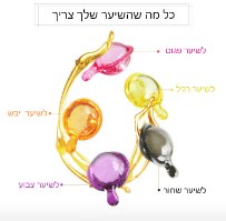 קפסולות קרטין וויטמינים לשיקום השיער