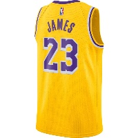 Nike LeBron James Los Angeles Lakers  Icon Edition NBA Swingman Jersey