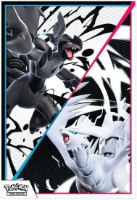 אלבום קלפי פוקימון מארז Pokémon Scarlet & Violet SV10.5 Black bolt Binder Collection
