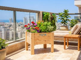 האדנית המרובעת