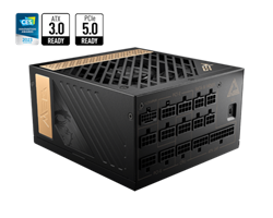 MSI MEG Ai1300P PCIE5 80+ PLATINUM