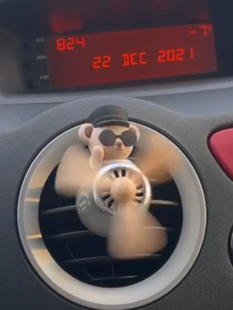 חוות דעת - ריחן לרכב I Am Teddy