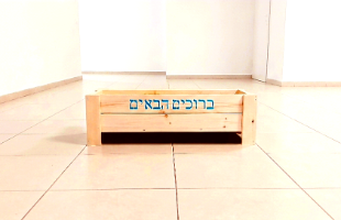 אדנית של רן