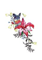 הדפס המציג פרחי מקור החסידה וחלמיות בעפרונות אקוורל ועט מאת ויקינגית