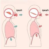 מכשיר-אימון-והרמתפנים