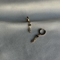 עגילי רוקסן עיגול| לוטוס שחור| שיבוץ זרקונים