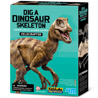 מעבדת הילדים - חפירת שלד דינוזאור VELOCIRAPTOR